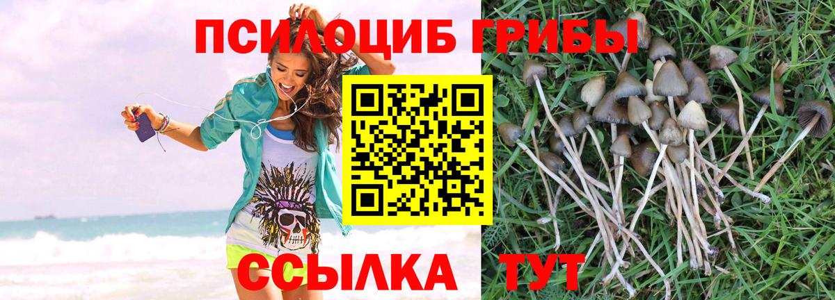 Галлюциногенные грибы Magic Shrooms Тольятти